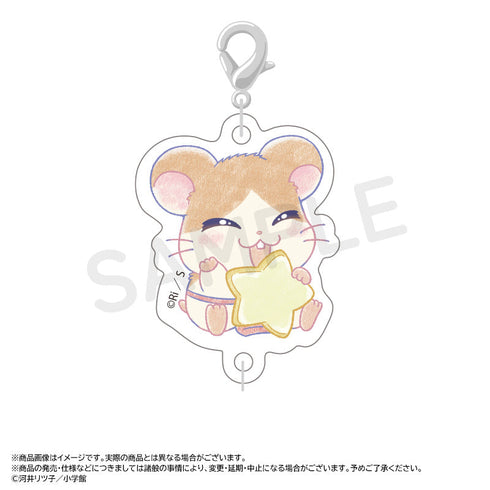 『とっとこハム太郎』~Twinkle Dreams~つながるアクリルチャーム【BOX】